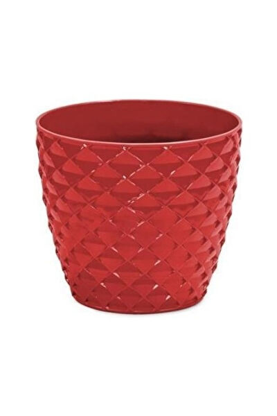 Just Cheap Store Saksı