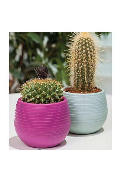 Just Cheap Store Saksı