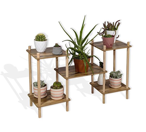 Asude Home Vazo, Saksı