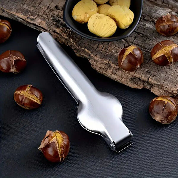 nonni Kestane Çizici