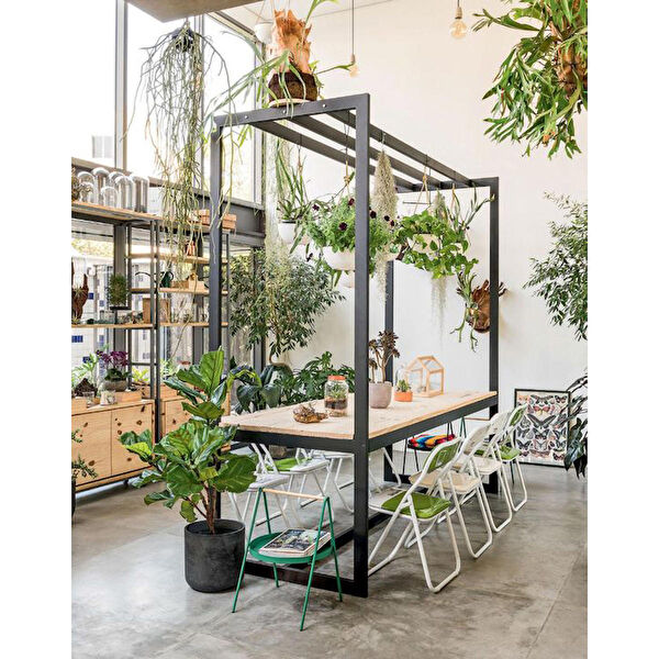 Abronya Bahçe Bankı