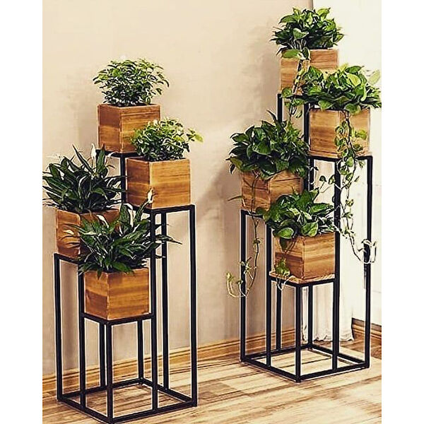 Abronya Vazo, Saksı