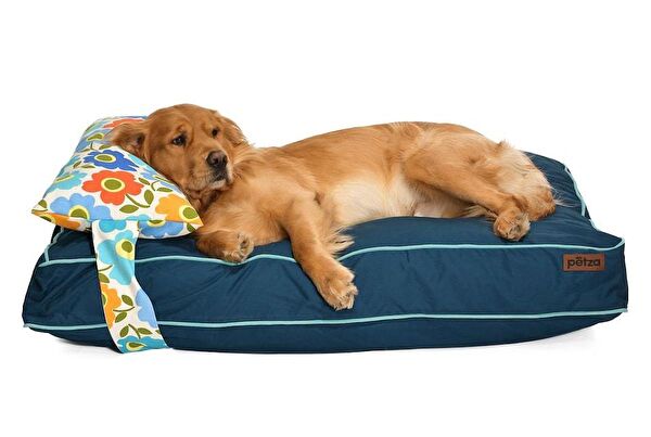 Petza Köpek Yatağı