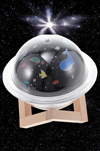 Aydogan's Projeksiyon Lambası