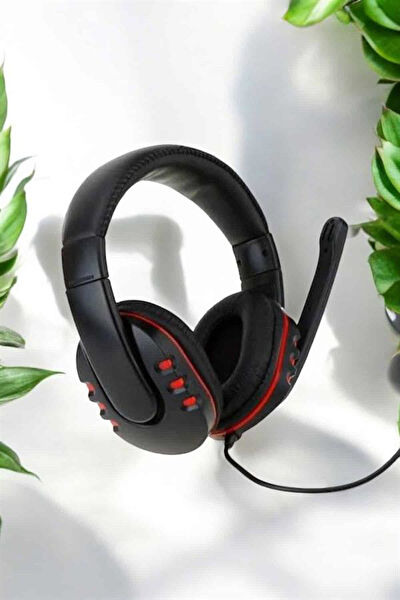 Aydogan's Bilgisayar Kulaklığı