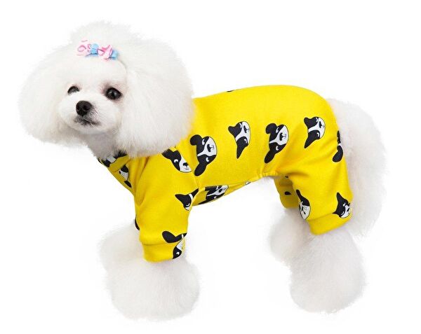 Petza Köpek Elbisesi