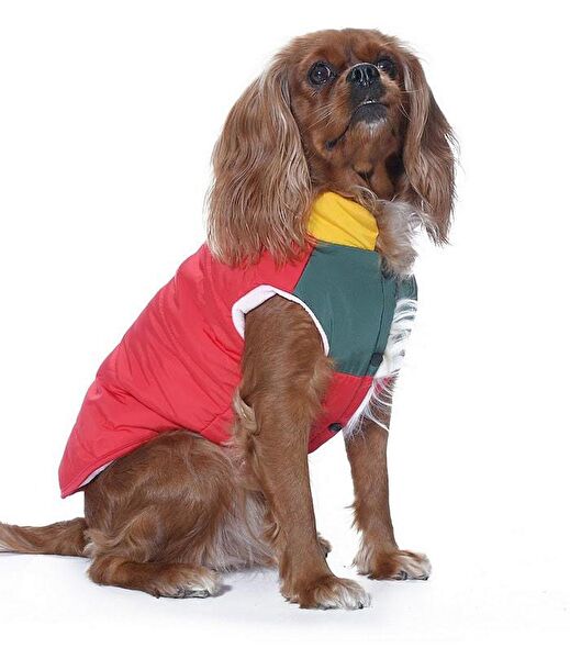 Petza Köpek Elbisesi