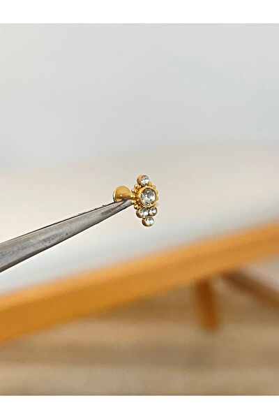 Aida Jewelss Kadın Piercing