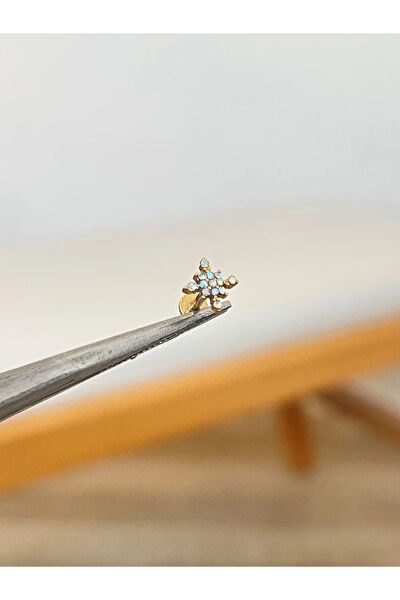 Aida Jewelss Kadın Piercing