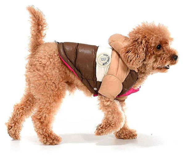 Petza Köpek Elbisesi