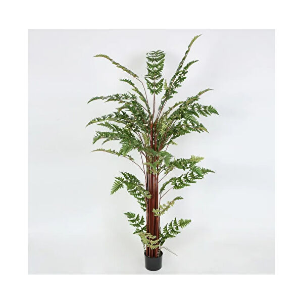 Evdema Yapay Çiçek, Meyve