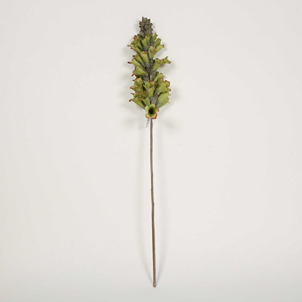 Evdema Yapay Çiçek, Meyve