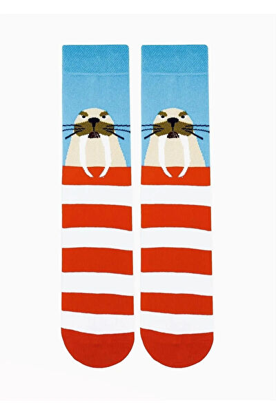 Aksu Çorap Kadın Çorap