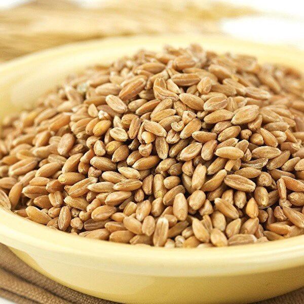 AKTARCINIZ Kuş Yemi, Kraker