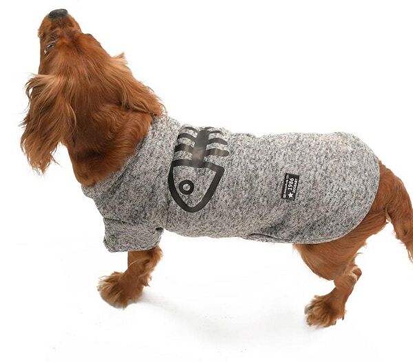 Petza Köpek Elbisesi
