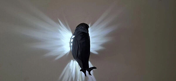 ALPAXA Gece Lambası