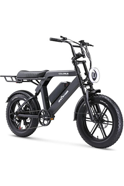 Ape Ryder Elektrikli Bisiklet