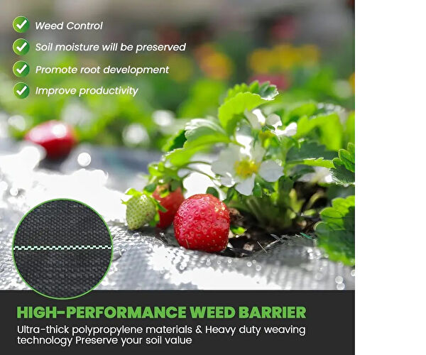 Skygo Bitki Yetiştirme Kiti