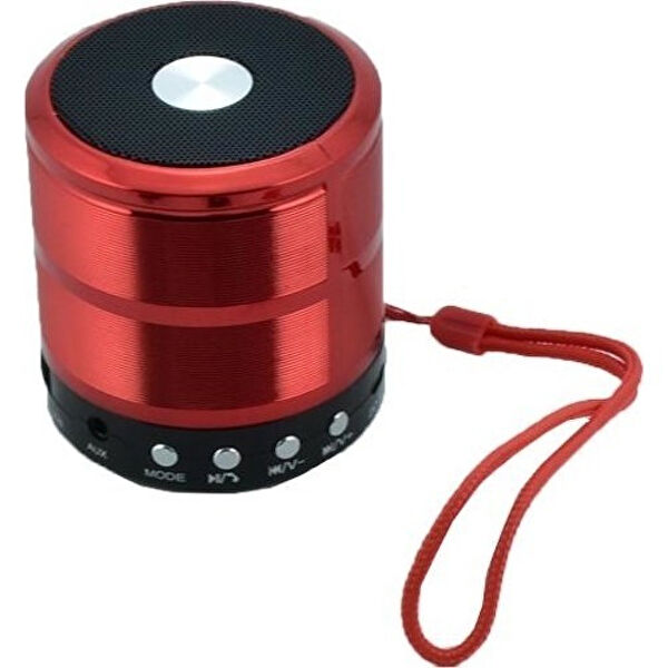 Skygo Taşınabilir Hoparlör