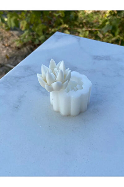 arıca pazarlama Mum