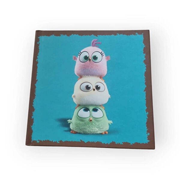 Ardhediyelik Defter, Ajanda