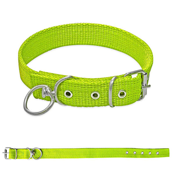 Savex Köpek Tasmaları