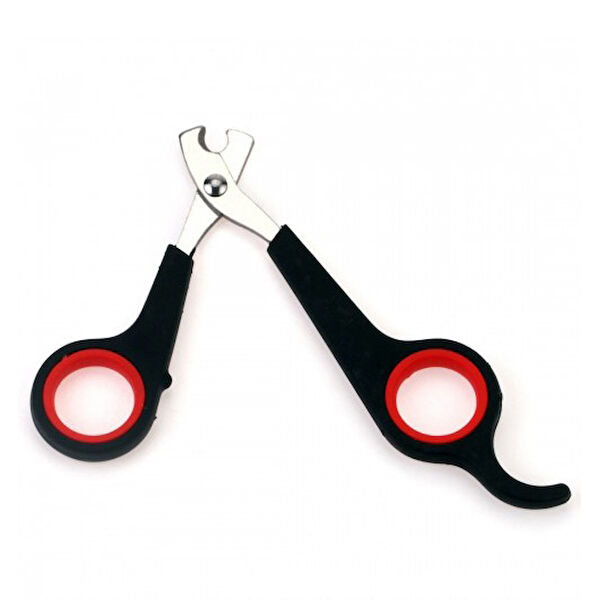 Royalist Kedi Tarak, Fırça, Makas