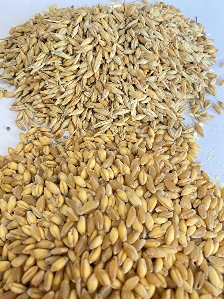 Şenler Zahire Kuş Yemi, Kraker