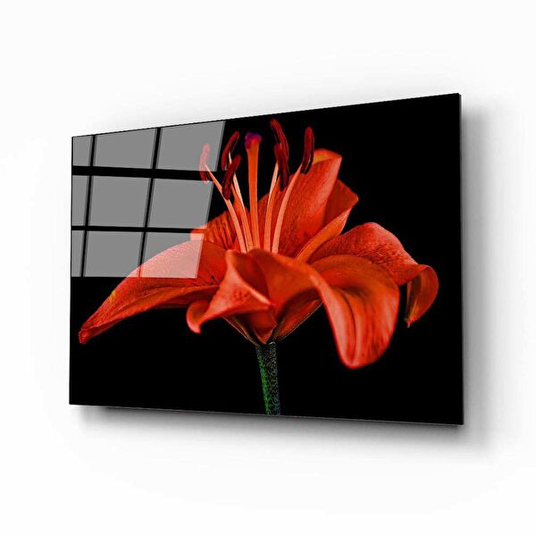 Aras Glass Art Cam Tablo