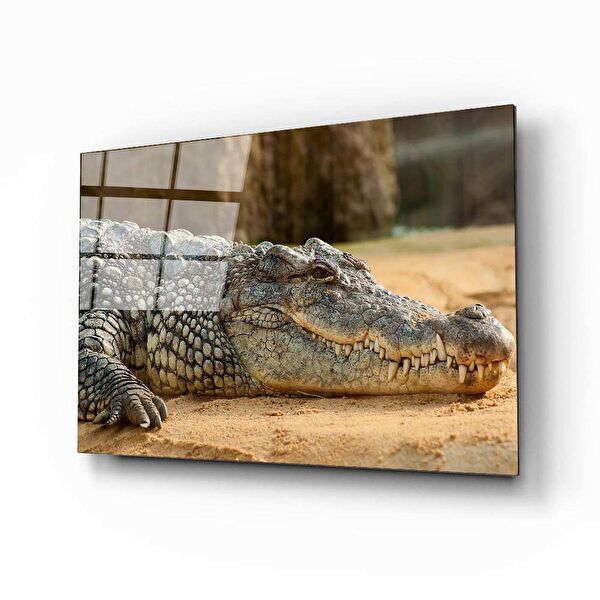 Aras Glass Art Cam Tablo