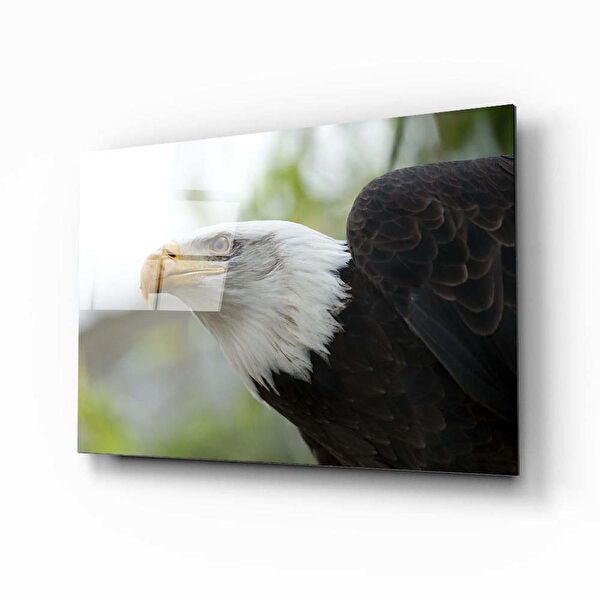 Aras Glass Art Cam Tablo