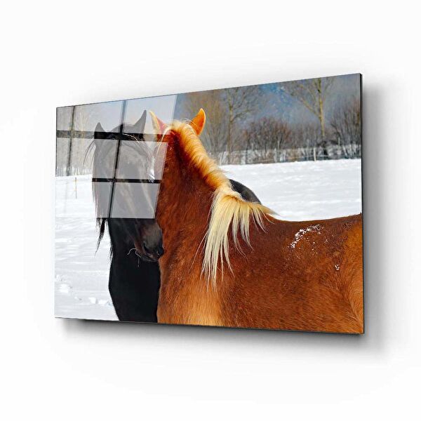 Aras Glass Art Cam Tablo