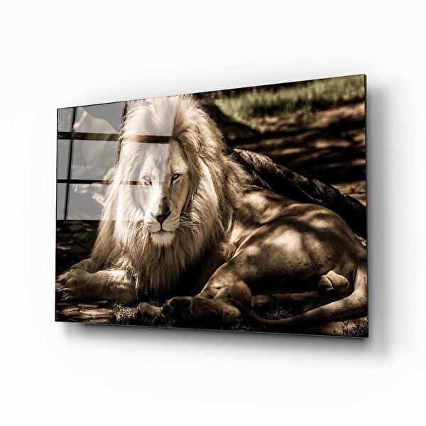 Aras Glass Art Cam Tablo