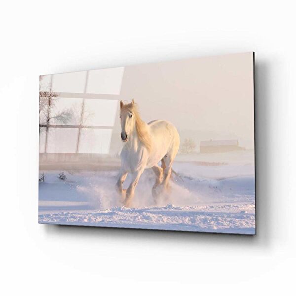 Aras Glass Art Cam Tablo