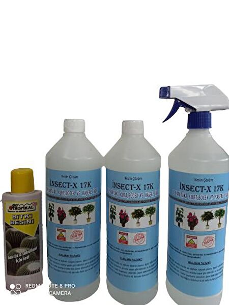 ArmenBotanik İç Mekan Bitkileri