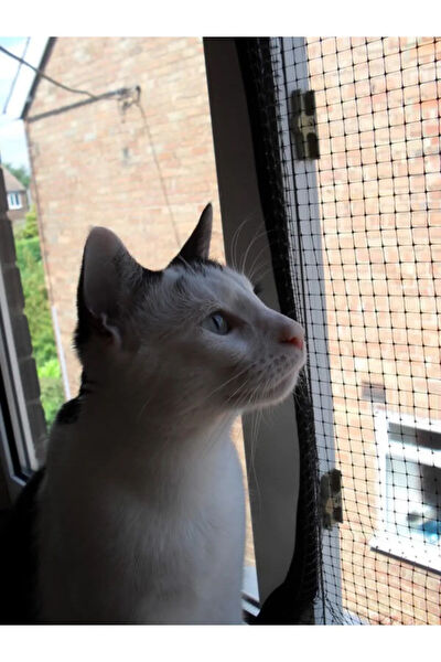 ARTI İLAÇLAMA Bahçe Gizleme Ağı, File Branda