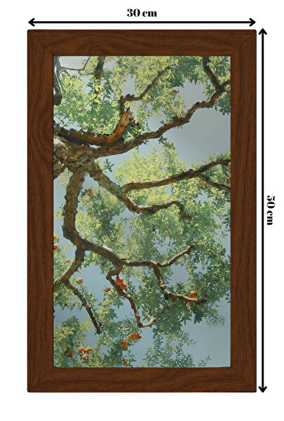 COLORCRAFT Çerçeveli Tablo