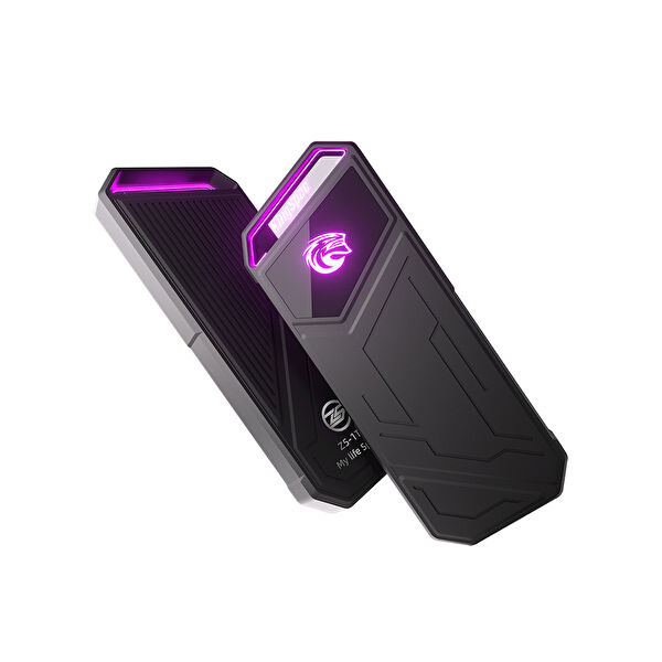 OEM Taşınabilir Diskler