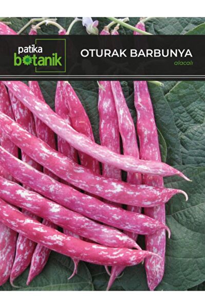 Patika Botanik Tohum