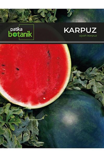 Patika Botanik Tohum