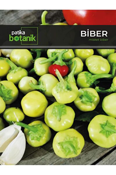 Patika Botanik Tohum