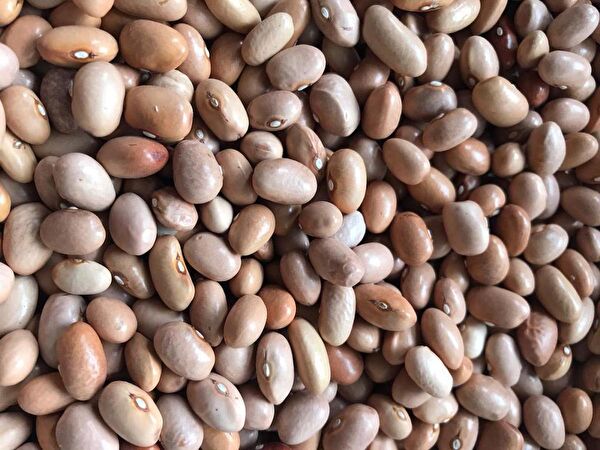 Karahasanoğlu Tarım Tohum