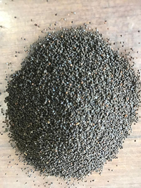 Karahasanoğlu Tarım Tohum