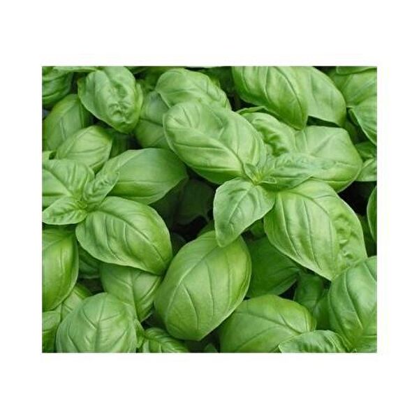 Karahasanoğlu Tarım Tohum