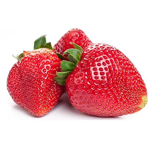 Karahasanoğlu Tarım Tohum