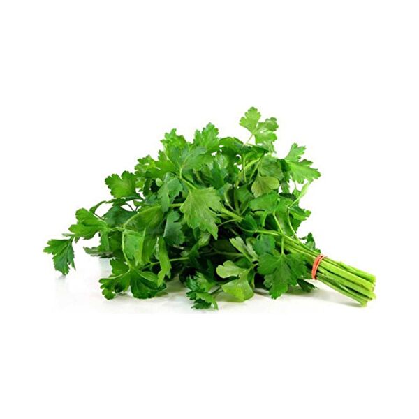 Karahasanoğlu Tarım Tohum