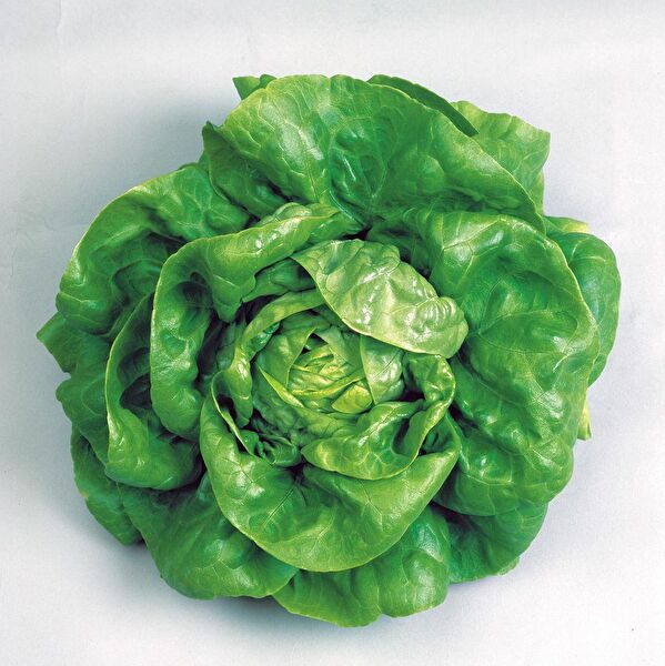 Karahasanoğlu Tarım Tohum