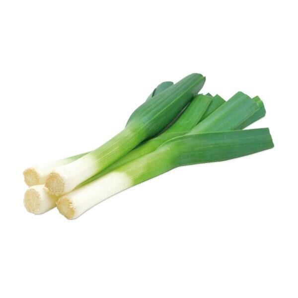 Karahasanoğlu Tarım Tohum