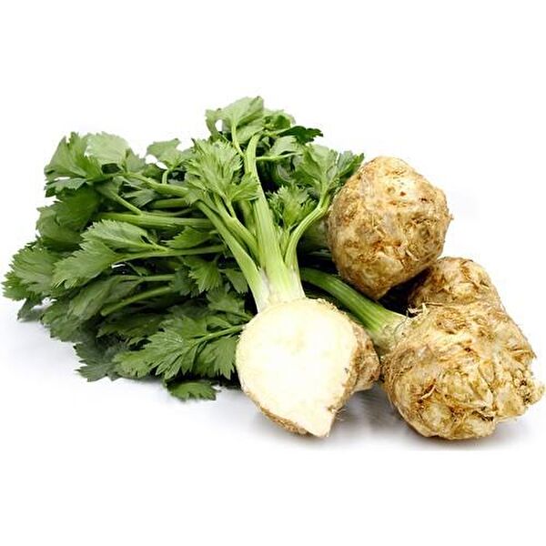 Karahasanoğlu Tarım Tohum