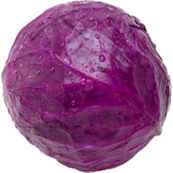 Karahasanoğlu Tarım Tohum